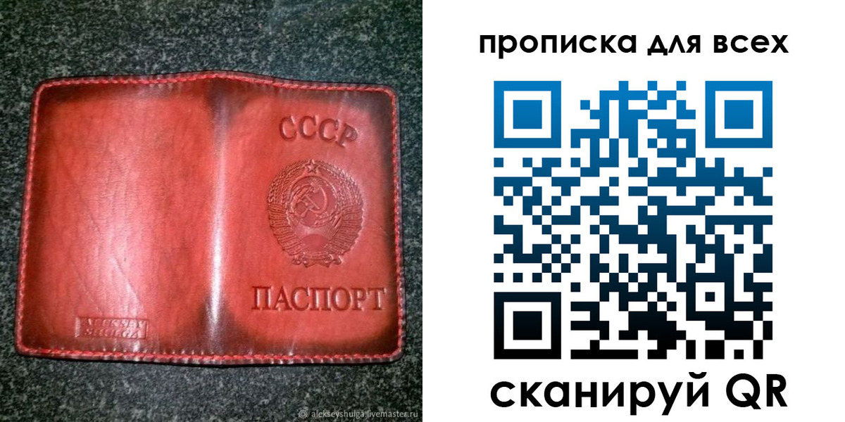 прописка поиск в Камышине